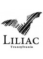 Liliac Rose Pinot Noir 2020 | Liliac Winery | Lechinta